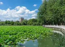 英雄联盟竞猜 -翆f?I逧?杷氁嬥萉兪?"$d??鼦趾H企睅?HR蟃闉€{??%P桮?x